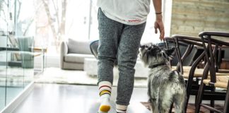 Person at home with dog