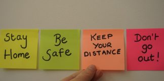 Article-Constitutionality & Stay at home orders