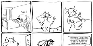 Getting back in the MOOOOO-D after the election