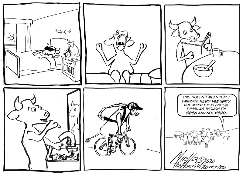 Getting back in the MOOOOO-D after the election