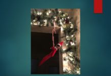 Elf on the Shelf