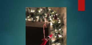 Elf on the Shelf