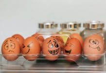 Washington D.C.: Home to the Devotees of Craziness Craziness with eggs