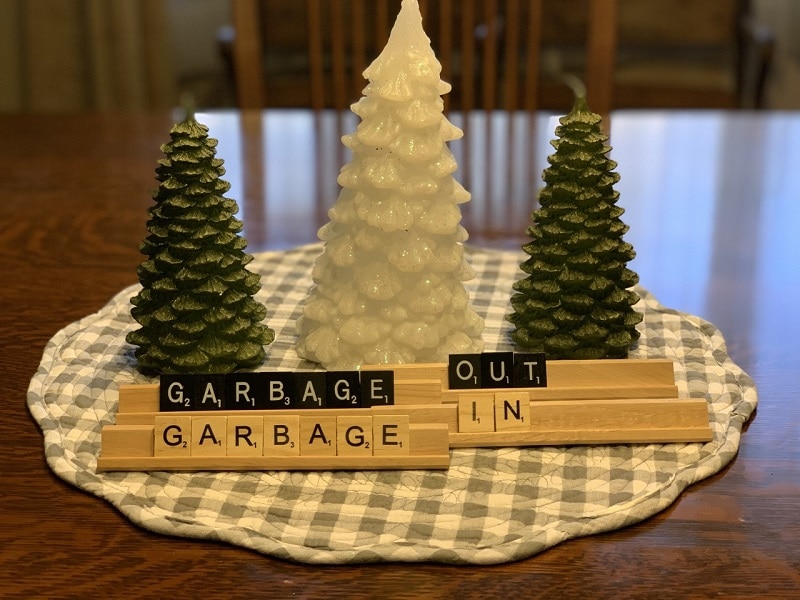 Garbage in Garbage out