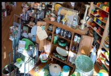 Interior of Sparrow Hawk