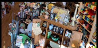 Interior of Sparrow Hawk