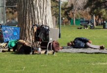 Homeless Sleeping Under a Tree