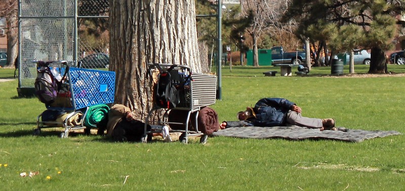 Homelessness Homeless Sleeping Under a Tree