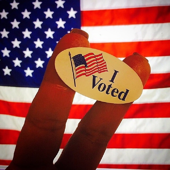 Voter ID Laws I Voted