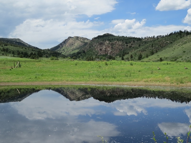 Sylvan Dale Ranch Looking over Green Ridge Summer