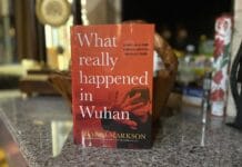 What Really Happened in Wuhan