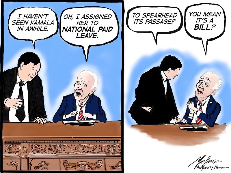 Vice President Kamala Harris Dude Where is my VP