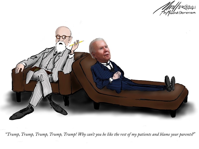 President Biden The President's Analyst