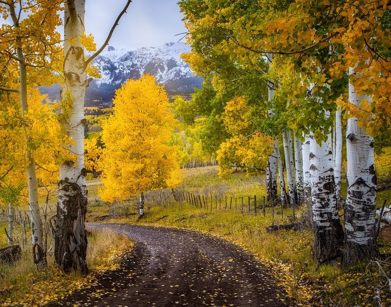 Lars Leber Fall - Last Dollar Road between Ridgeway and Telluride