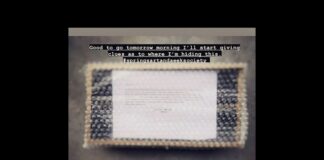 Melissa Porter Clue 1 Art & Seek Society