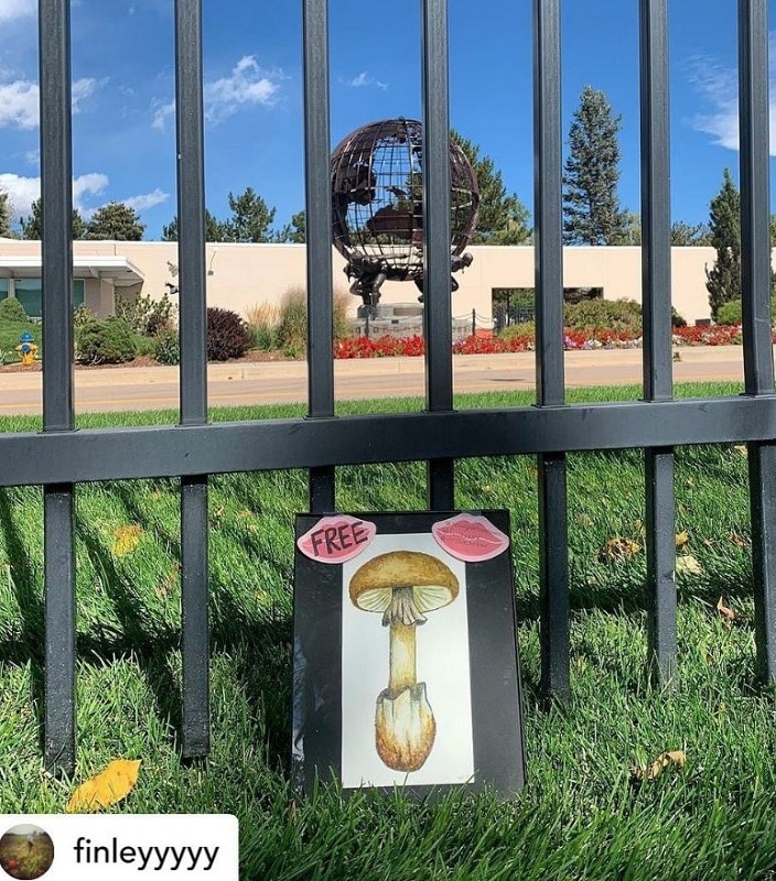 Springs Art and Seek Society Finleyyyyy Hidden Clue Art & Seek Society