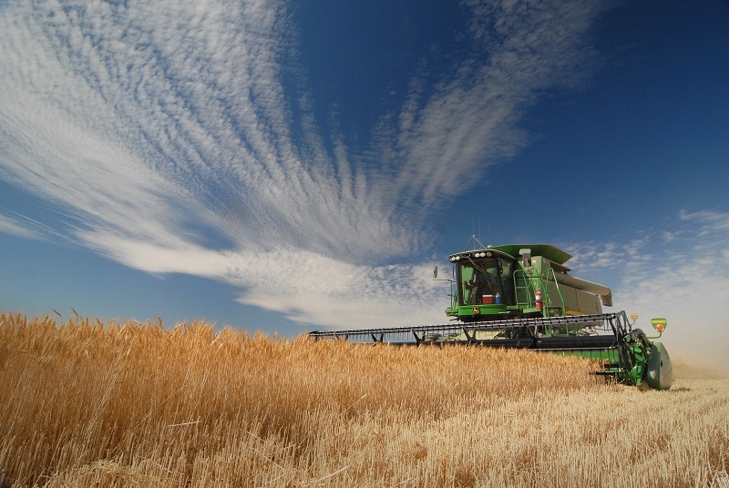 Megadrought Harvest time