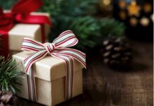 Holiday Gift Guide 2020