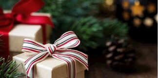 Holiday Gift Guide 2020