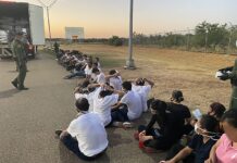 Border Patrol Encounters