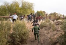 Individuals Apprehended in Yuma AZ