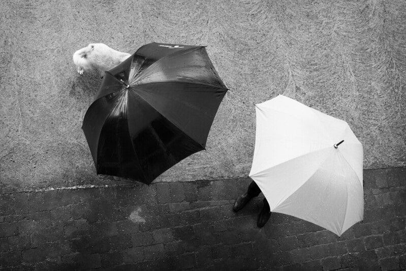 Racism Black vs White