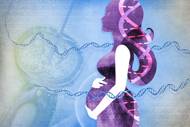 When Does Life Begin DNA
