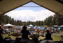 MeadowGrass Music Festival