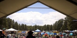 MeadowGrass Music Festival