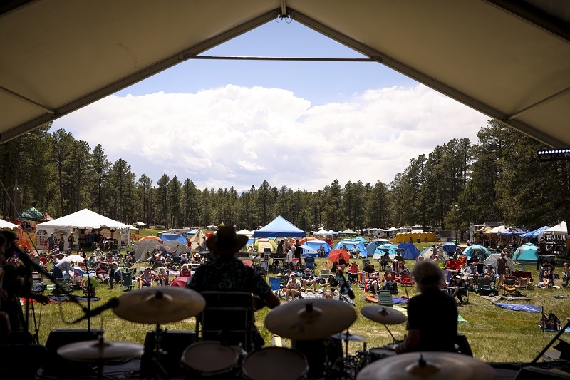 MeadowGrass Music Festival