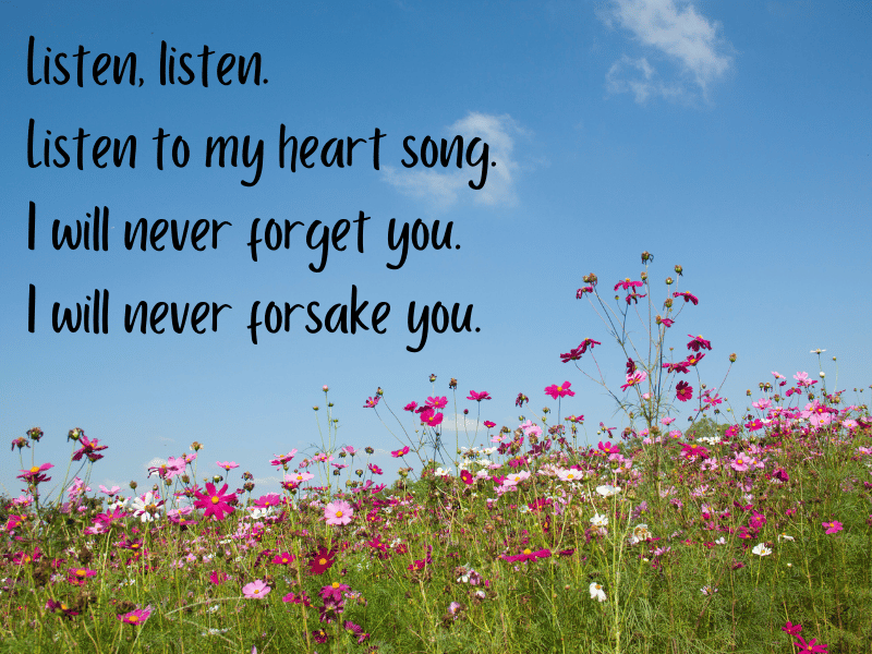 Canine Massage Hermie Poem