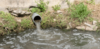 Storm Draining into Water
