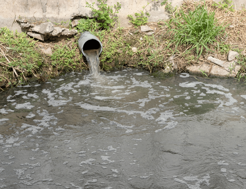 Sprouts Storm Draining into Water