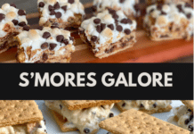 S’Mores Galore: The Best Variations You Never Knew You Needed S'mores Galore: The Best Variations You Never Knew You Needed
