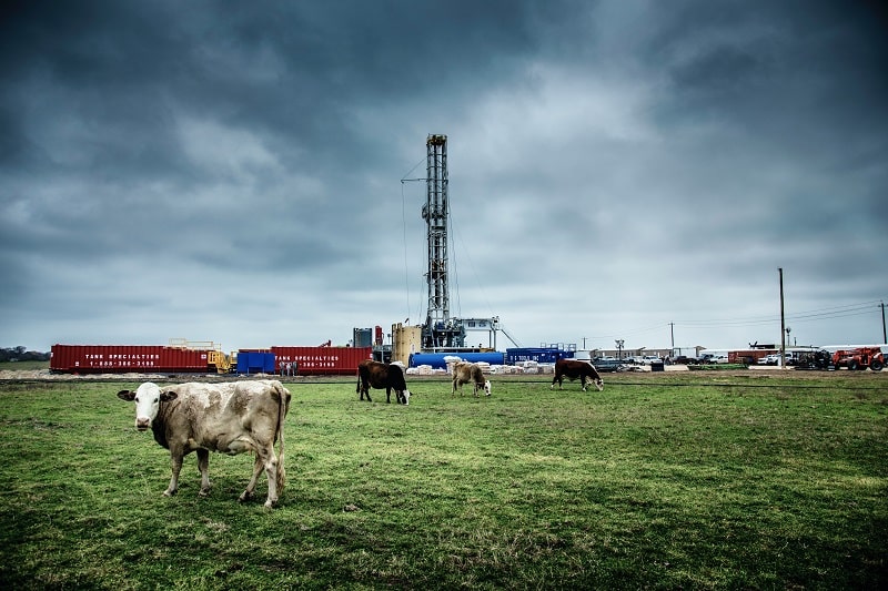 Green New Deal Cows and Oil Fields