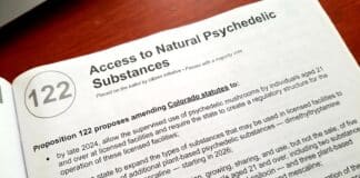 Prop 122 Access to Natural Psychedelic Substances