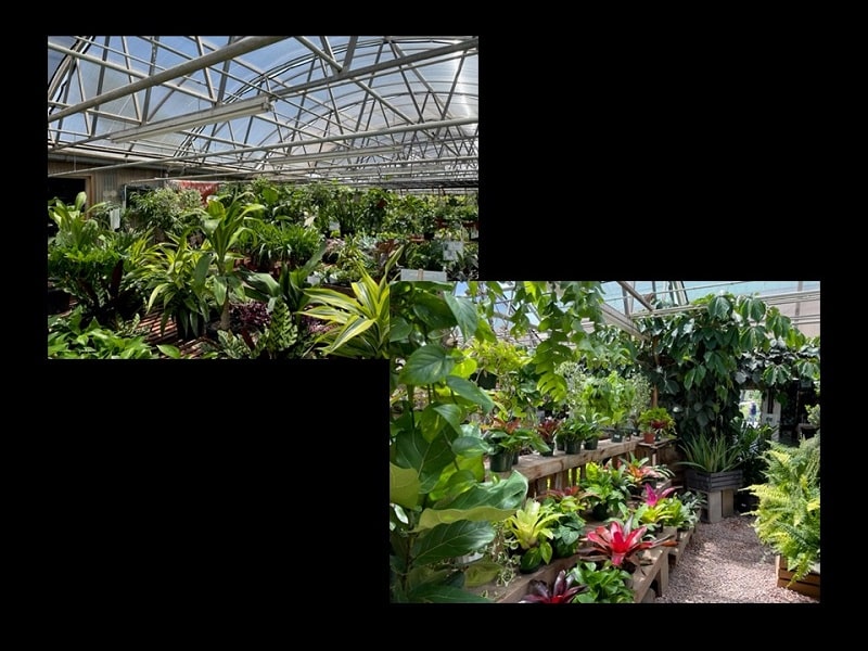 Phelan Gardens Inside the Greenhouse