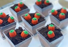 Pumpkin Patch Dirt Cups