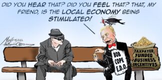 The Visible Hand of Local Government