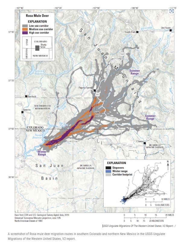 Environmentalism Rosa Mule Deer Migration Routes