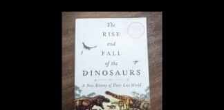 Rise and Fall of Dinosaurs