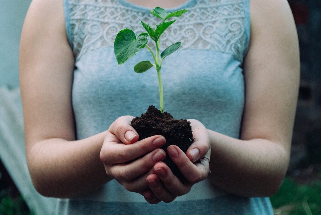 Ecopsychology Holding a Plant