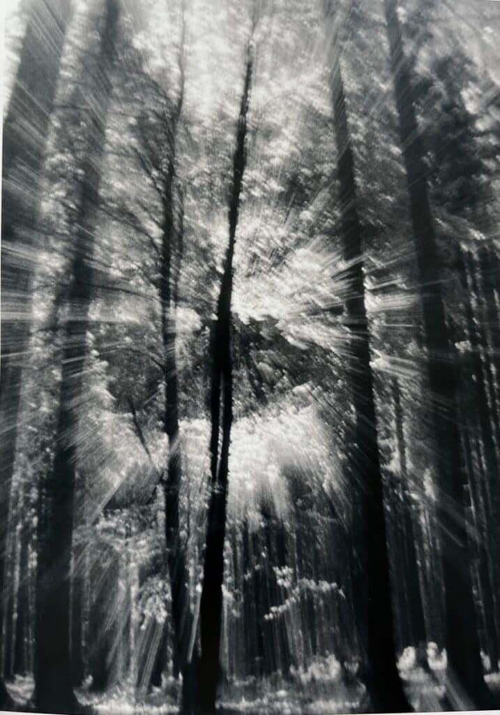 Horst Schafer Light in the Frost 1980