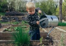 Kid Gardening