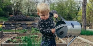 Kid Gardening