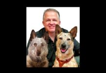 Eric Melvin & Cattle Dogs