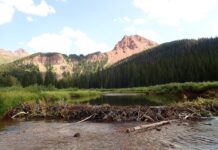 Drought and Increased Water Demands