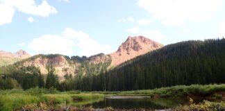 Drought and Increased Water Demands