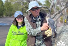 A couple experience Falconry through Resort Outfitters