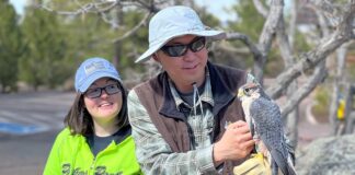 A couple experience Falconry through Resort Outfitters
